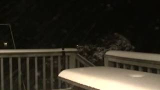 preview picture of video 'Blizzard of 2013 -Time lapse'