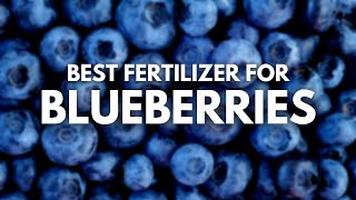 Best Fertilizer for Blueberries - Berry Berry Helpful Products