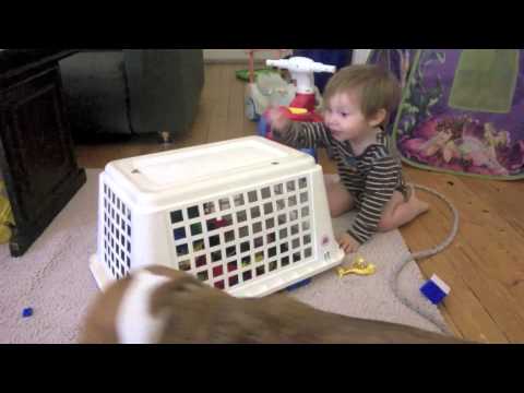 เด็กกับหมา