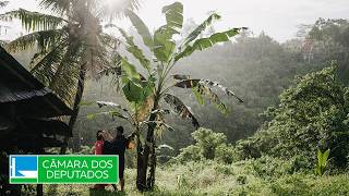  Discussão e votação de propostas legislativas - 26/05/2026 14:00