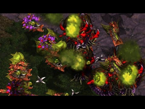 Falcon casts PRO and YOUR Brood War replays! FME/UMS/FFA