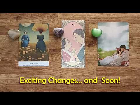 What to Expect Next in Your Love Life 🕰️🤗💖💖💖💖Timeless Tarot Reading