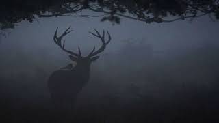 Gloomy Mix - Rain drop (Bambi - Little April Shower)