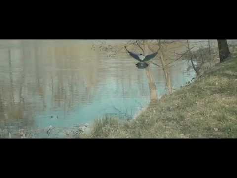 Park Wschodni we Wrocławiu