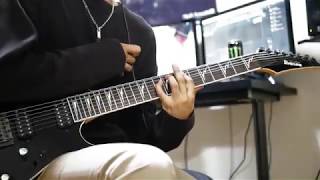 NOVELISTS - The Lichtenberg Figure  Guitar cover