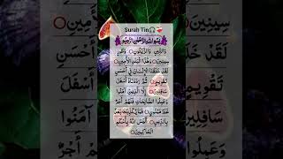 Download lagu Surah At-Tin (وَالتِّينِ وَالزَّيْتُونِ) #egzonibrahimi #surahattin #quranrecitation #quran mp3