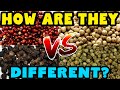 How Are PEPPERCORN COLORS Different Black White Red Pink Green Pepper