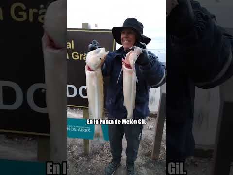 Pejerrey de 1,4 kg en la Salada Grande de Madariaga 🎣 #pesca