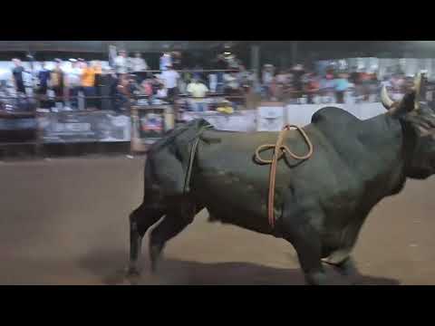 Así arrancaron las fiestas taurinas en San Juan de la Concepción Masaya, Nicaragua 🦬#nicaragua🇳🇮