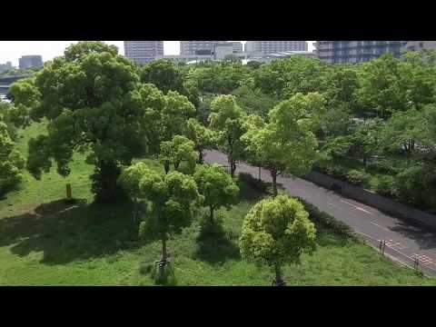 TALS TelloAltLimitSetter Video