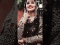 Chakkwein Suit Lyrics Love Trending Status Punjabi