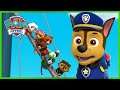 Resgate Especial Os Cães Salvam Os Gatos Reais E Mais Patrulha Pata PAW Patrol Episódio Português