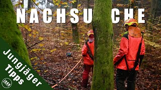 Daneben geschossen? Krank geschossen? | Jungjägertipps