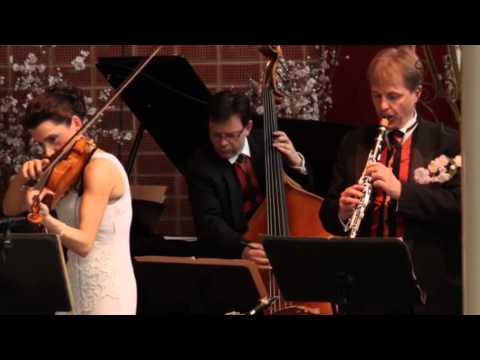 Salonissimo - Franz Schubert - Der Lindenbaum