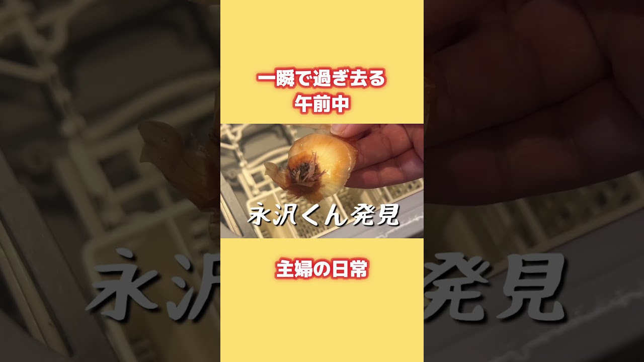 ズボラ寝落ち主婦の午前中は一瞬で過ぎ去る〜の巻