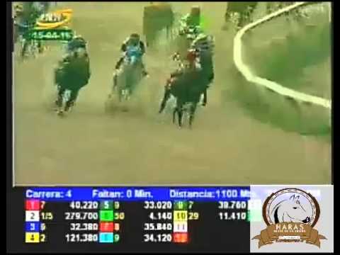 VALENCIA 4 CARRERA, VIERNES 15 DE ABRIL DEL 2016