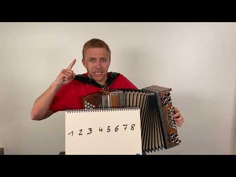 Systematically learn bass lines with Stefan Kern 😄🎶👍🏼