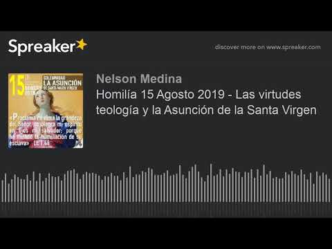 Homily August 15, 2019 - Theological Virtues and the Assumption of the Blessed Virgin