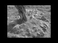 waldteufel - neun welten all 
