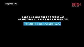Día Mundial de la Alimentación Día Mundial de la Alimentación