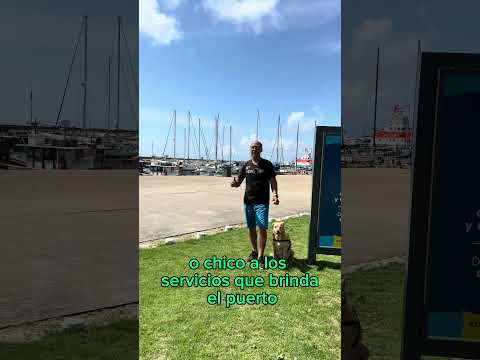 Descubre La Paloma en #motorhome ! Info, tips y aventura en Rocha, Uruguay. #viajar #playa #vanlife