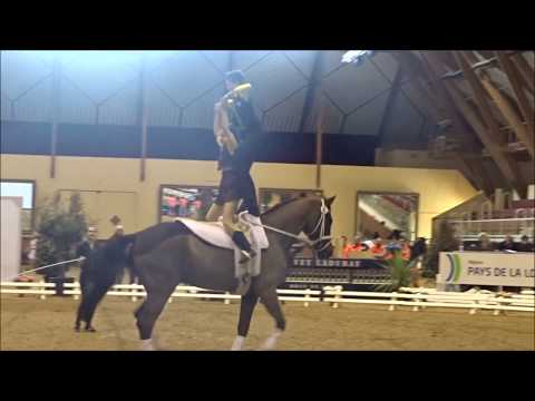 A Low F Pentrop freestyle pdd