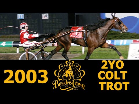 2003 Breeders Crown - Cantab Hall - 2CT