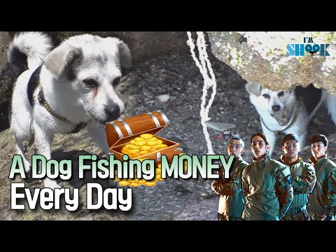 ¿Qué pasa si tu perrito trae dinero TODOS LOS DÍAS? 💸