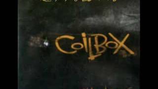 Coilbox - Rissolette