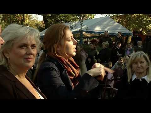 Videó előnézet