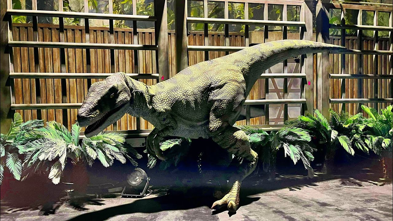 Promotional video thumbnail 1 for Sierra in the Sticks | Dinosaur Puppeteer & Performer