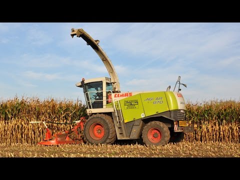 Claas Jaguar 870 - Loonw. Willem Claeys - mais 2014