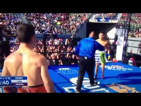 Montiel vs Lara
