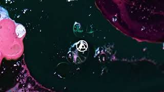 From Zero (Intro) (A Cappella) - Linkin Park