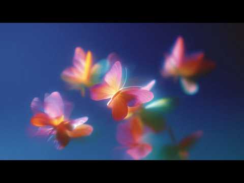 Twoxi x @poletaymusic  - Follow U (Official Lyrics Video)