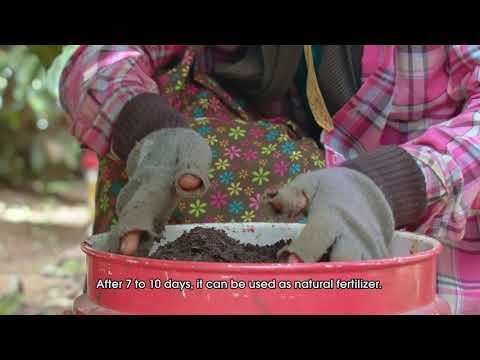 Shwe Pu Zun Coffee Farm Profile