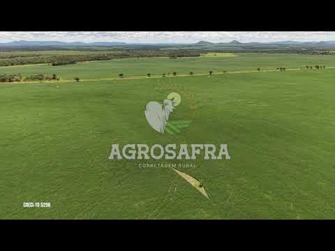 🌾 FAZENDA À VENDA EM MONTE DO CARMO/TO – 2.018 HECTARES