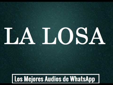 LA LOSA - Los Mejores Audios de WhatsApp