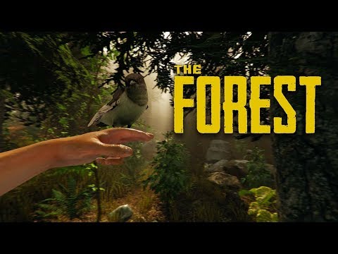 The Forest Of Wool And Steel (2018) Trailer