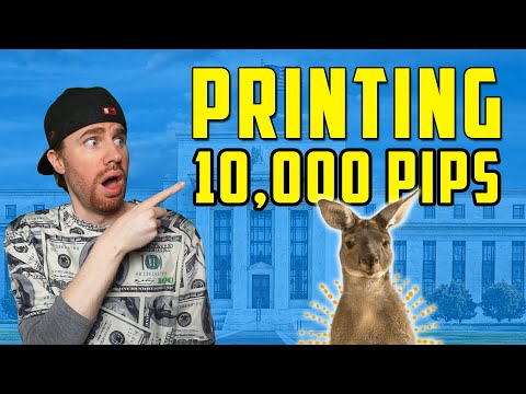Printing 10,000 Pips With Kangaroo Tails | BEST BEGINNERS STRATEGY