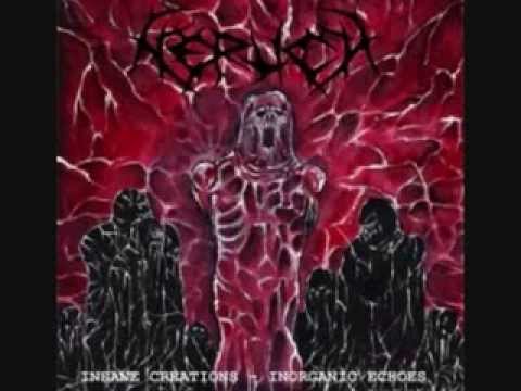 Nerlich - Flesh Deformation