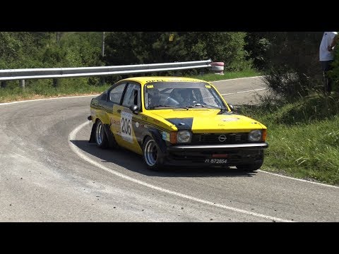 CLIP 2° Rally Salsomaggiore Terme 2019 Cani - Fontanesi by Ferrario