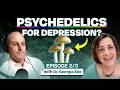 Die Wahrheit über Behandlungsresistente Depressionen Teil Zwei TMS Und Psychedelika