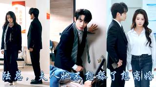 宴會上他公然抱着白月光離席，把她像小丑一樣丟在那，她決定不再自討苦吃，不再為他打領帶煮咖啡，簽下離婚協議她連夜跑路，向來矜貴高傲的男人終於坐不住了，意識到自己的感情後卑微求復婚！#甜宠 #先婚后爱