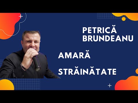 Petrică Brundeanu - Amară străinătate