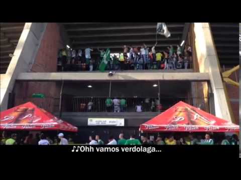 "Oh vamos verdolaga" Barra: Los del Sur &bull; Club: Atlético Nacional