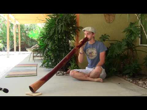 "Lost World" Eucalyptus Didgeridoo by Kirin Woibo