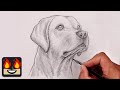 How To Draw A DOG YELLOW LAB Sketch Tutorial