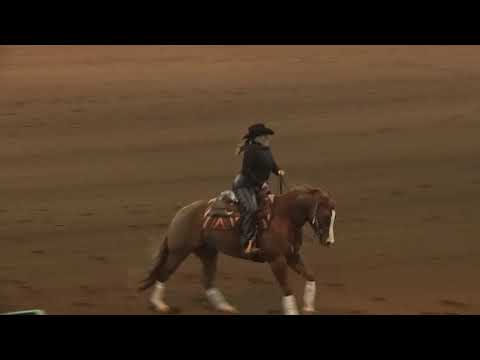 181014 Novice Jeanna Schaffhauser on Jersey On Top