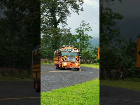 #buses #nicaragua #allamerican #motor #jinotega #elcua #elbote #chickenbus